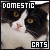  Cats: Domestic