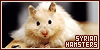  Hamsters: Syrian (Golden/Teddybear)