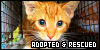  Cats: Adopted and Rescued