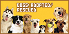  Dogs: Adopted and Rescued