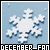  December